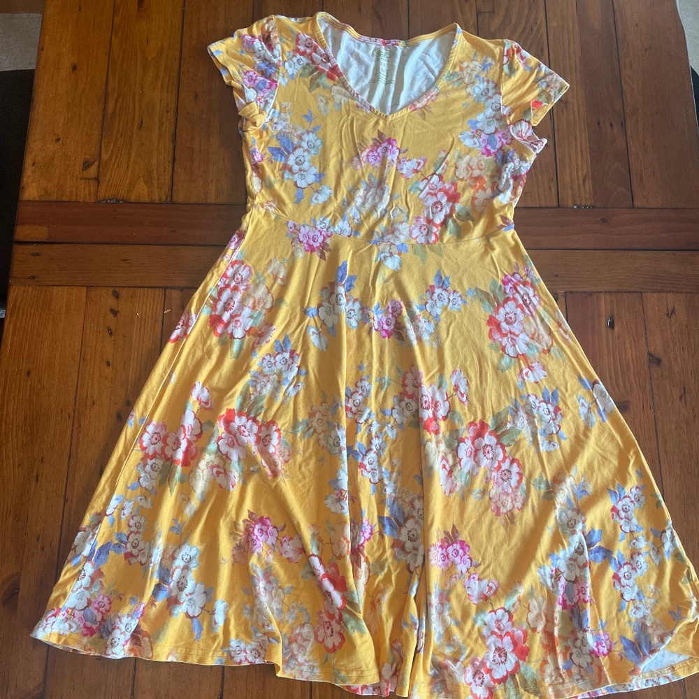 Marigold Nicole Dress by Blue Sky Clothing